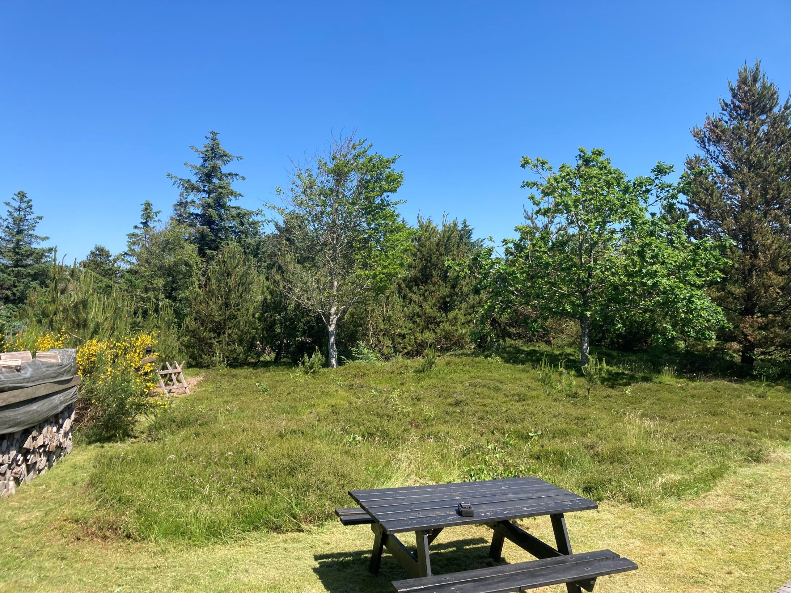sommerhus4